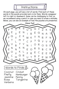 Summer Word Search Activity Book